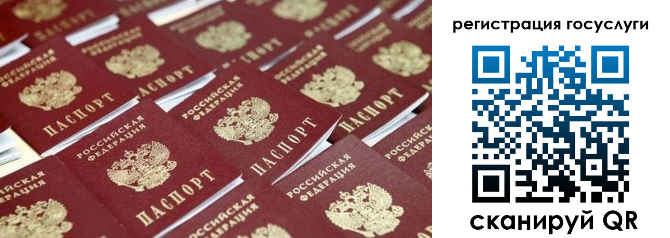 прописка ребенка в Алексеевке